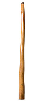 Tristan O'Meara Didgeridoo (TM467)